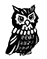 small owl drawing