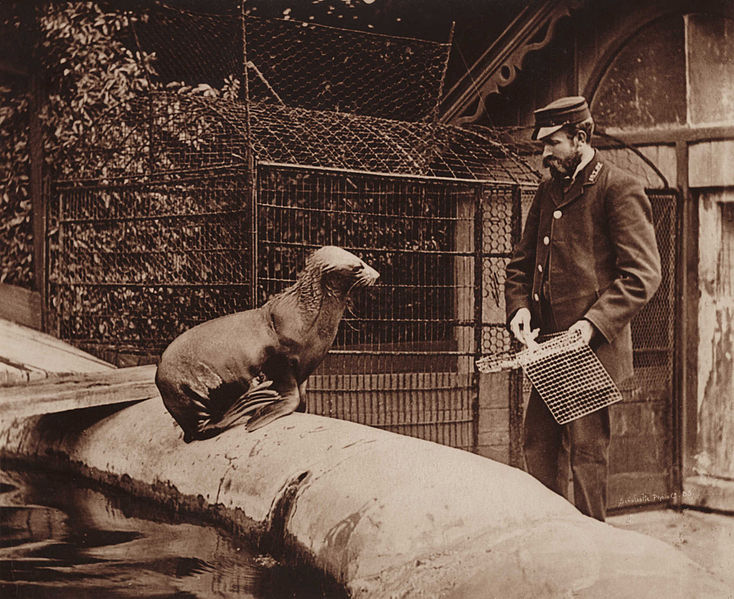 Photo from a Zoo in the 20th century